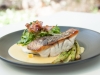 Pan Seared Barramundi with Corn Puree, Charred Asparagus, Pancetta, Corn & Herb Salad