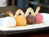 Ice-Creams-Sorbets-