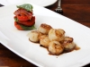 Seared-Scallops